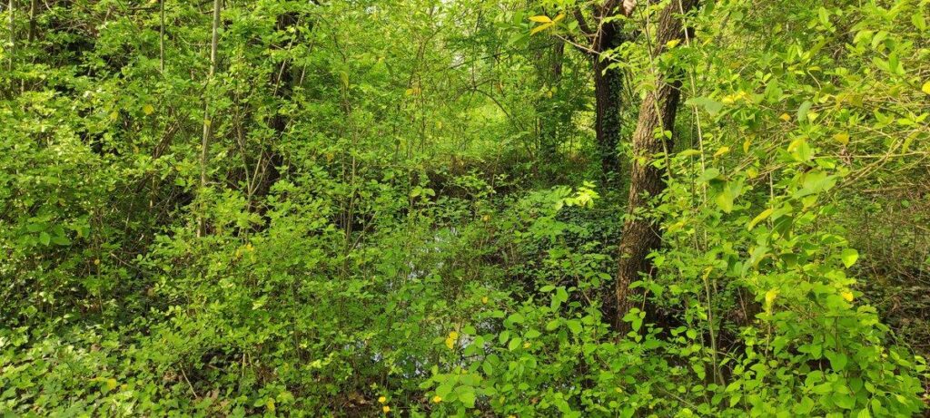 Rifugio silvestre Ca' Milla